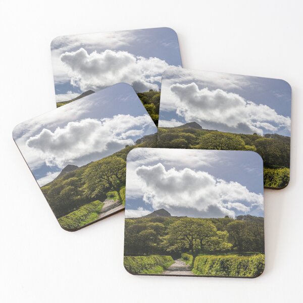 Item preview, The path to Roseberry Topping  designed and sold by grumpykeith.