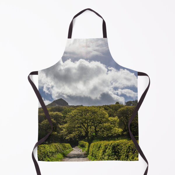 Item preview, The path to Roseberry Topping designed and sold by grumpykeith.