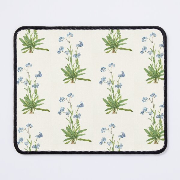 Item preview, Alpine Forget-me-not - Myosotis alpestris - botanical illustration designed and sold by chimakingthings.