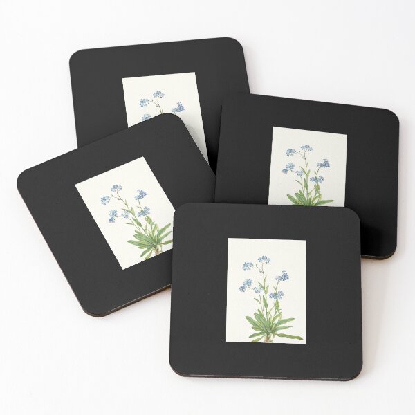 Item preview, Alpine Forget-me-not - Myosotis alpestris  - botanical illustration designed and sold by chimakingthings.