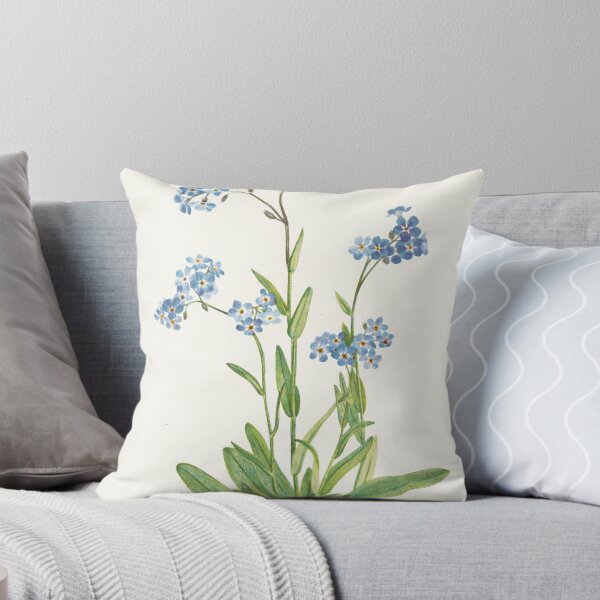 Item preview, Alpine Forget-me-not - Myosotis alpestris  - botanical illustration designed and sold by chimakingthings.