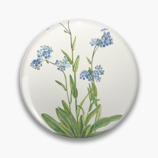 Item preview, Alpine Forget-me-not - Myosotis alpestris  - botanical illustration designed and sold by chimakingthings.