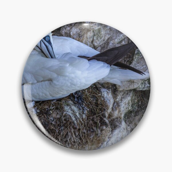 Item preview, Northern Gannet designed and sold by grumpykeith.