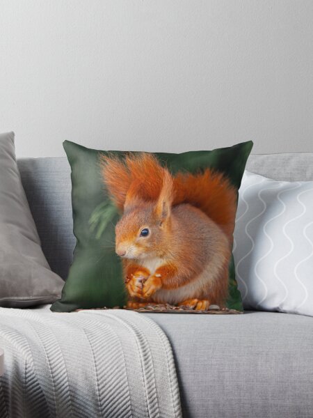 Item preview, Red Squirrel designed and sold by OwlOccasions.