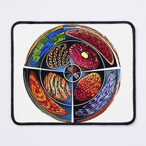 Item preview, Memories designed and sold by Carlo Varo.