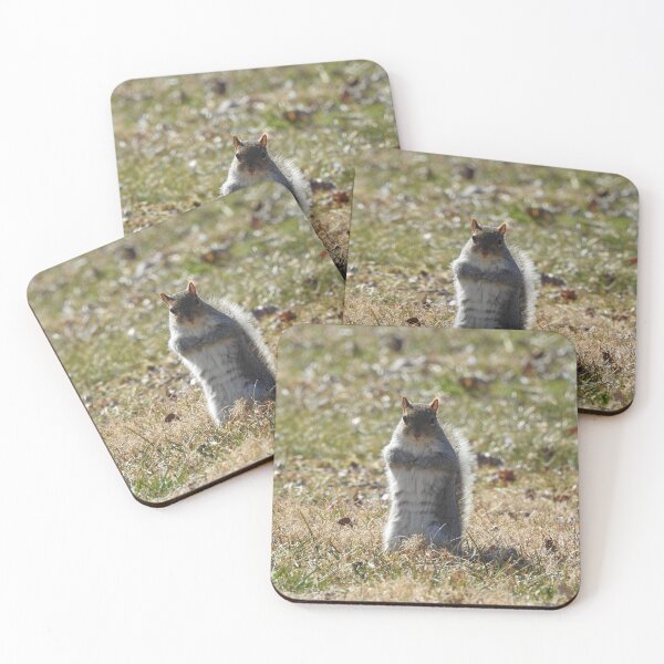 Item preview, Wildlife gifts, eastern ground squirrel, nature, wild animals designed and sold by Sandra O'Toole.
