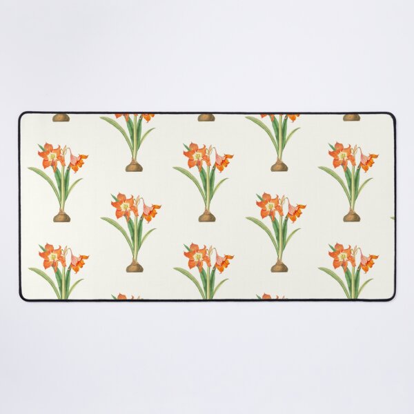 Item preview, Barbados lily - Hippeastrum puniceum - botanical illustration designed and sold by chimakingthings.