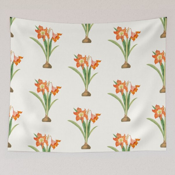 Item preview, Barbados lily - Hippeastrum puniceum - botanical illustration designed and sold by chimakingthings.