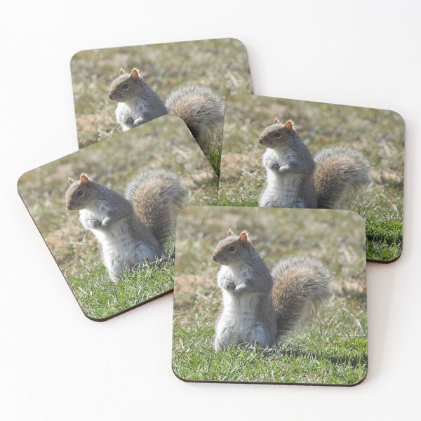 Item preview, Wildlife gifts, eastern ground squirrel, nature, wild animals designed and sold by Sandra O'Toole.