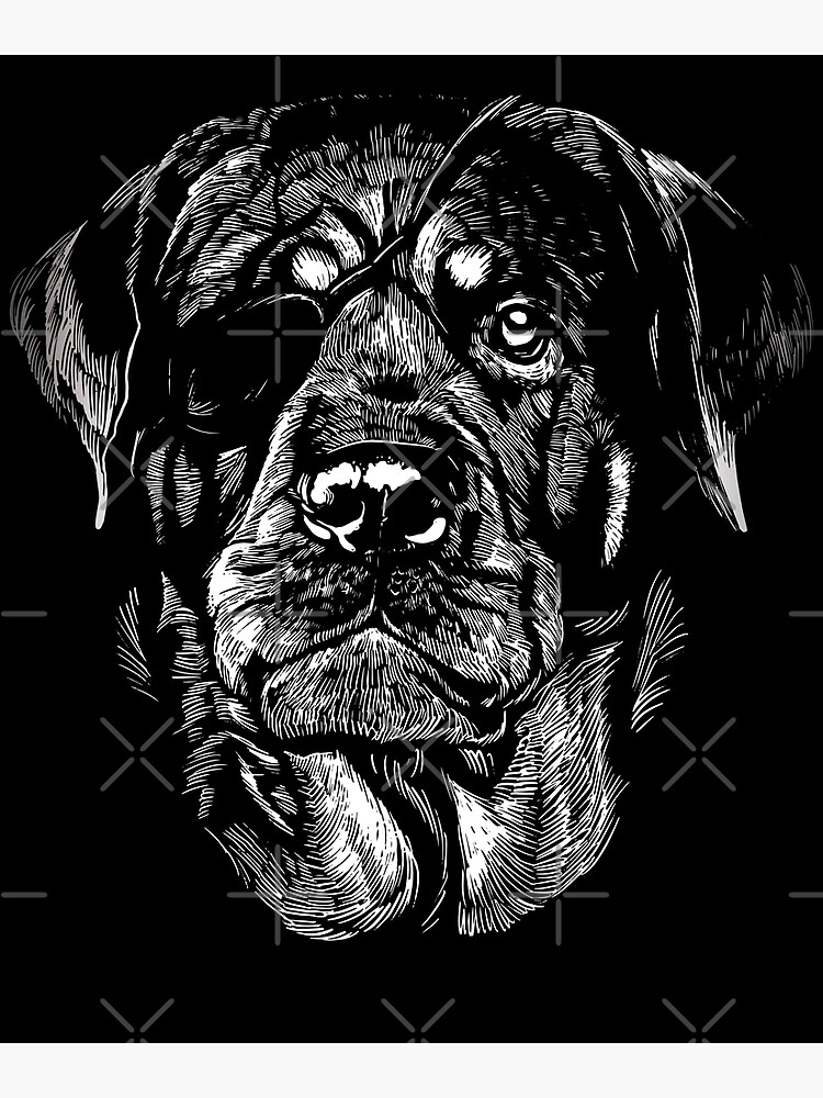 White Spot White Rottweiler Puppy Two Black Puppy Red Spots White - Main Image