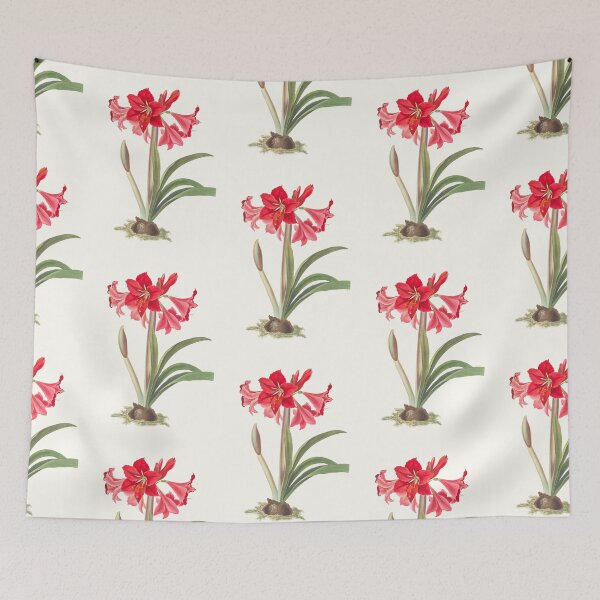 Item preview, Hardy Amaryllis - botanical illustration designed and sold by chimakingthings.