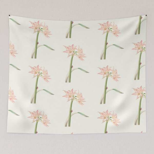 Item preview, Netted-veined amaryllis - Hippeastrum reticulatum - botanical illustration designed and sold by chimakingthings.