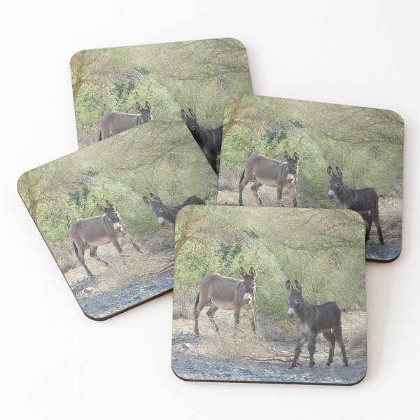Item preview, Wildlife gifts, wild burros, Chemehuevi, Parker, California designed and sold by Sandra O'Toole.