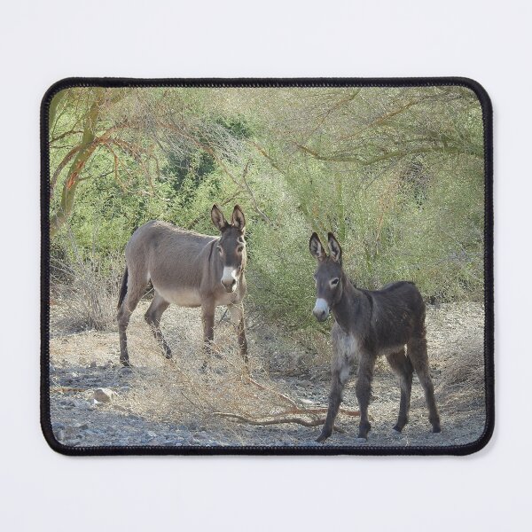 Item preview, Wildlife gifts, wild burros, Chemehuevi, Parker, California designed and sold by Sandra O'Toole.