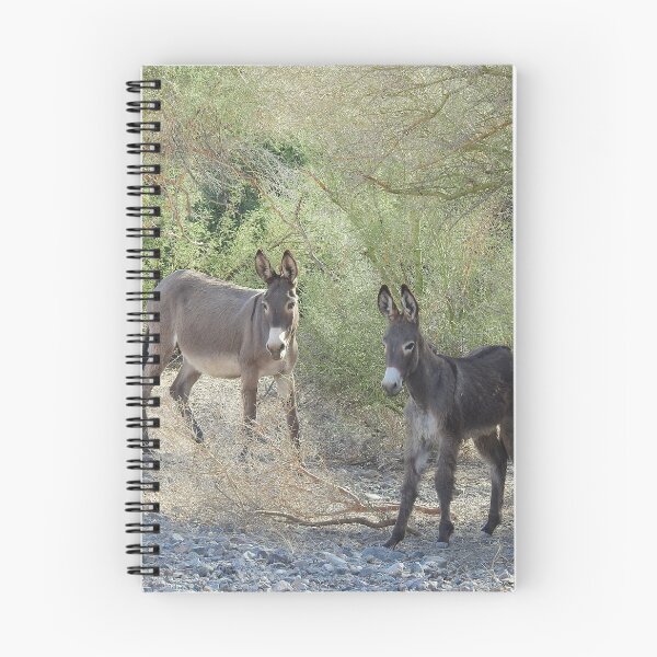 Artikelvorschau, Geschenke für Wildtiere, wilde Esel, Chemehuevi, Parker, Kalifornien entworfen und verkauft von Sandra O'Toole.