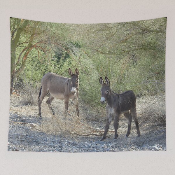 Item preview, Wildlife gifts, wild burros, Chemehuevi, Parker, California designed and sold by Sandra O'Toole.