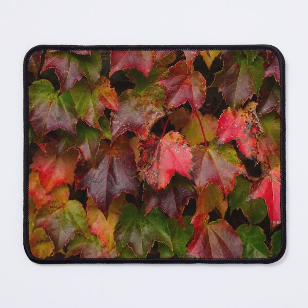 Item preview, Autumn background with colorful Ivy leaves designed and sold by vm2002.