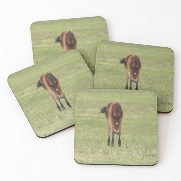 Item preview, Wildlife gifts, wild horses, Eastern Sierra, California designed and sold by Sandra O'Toole.