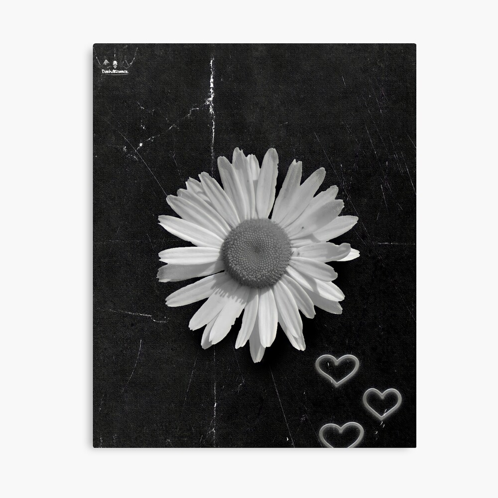 Black and White Daisy Doodle | Art Board Print