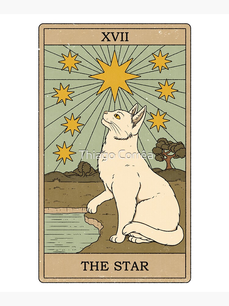 The Star by thiagocorream