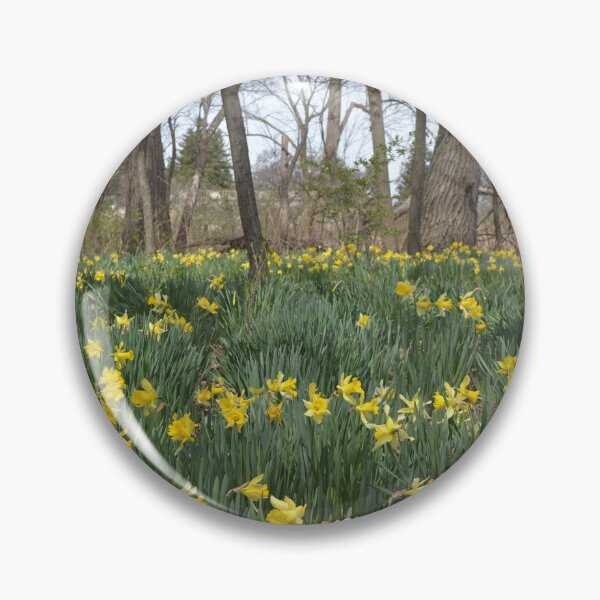 Item preview, Field of Yellow  Daffodils designed and sold by Kathleen Brant.