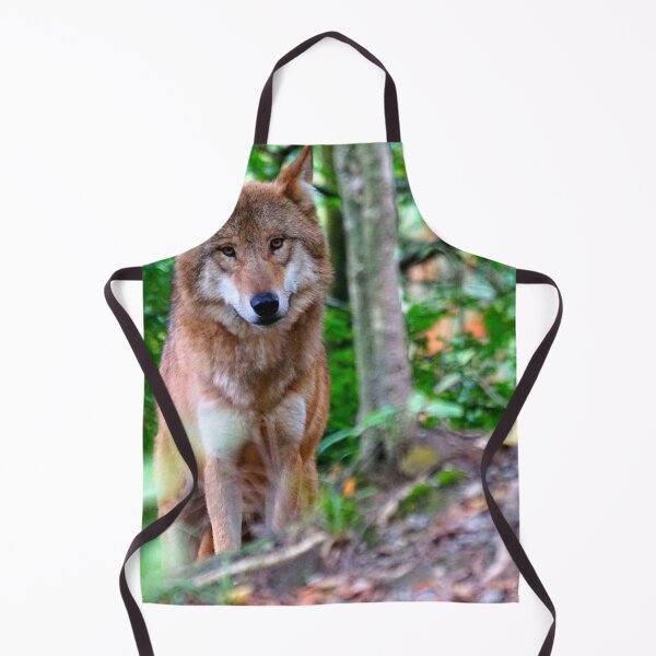 Item preview, Arctic wolf photo with high resolution quality designed and sold by Allyouneed-2.