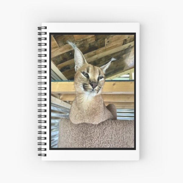 Big Floppa Meme Cute Caracal Cat: Plain Lined Journal Notebook, 120 Pages,  Medium 6 x 9 Inches, Printed Cover
