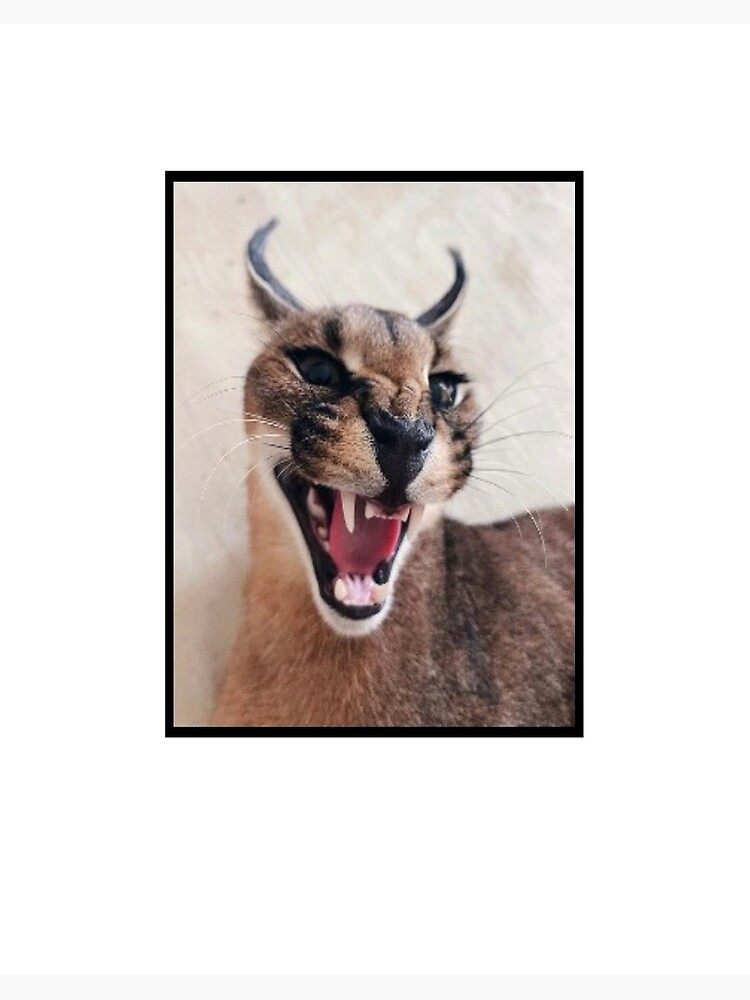 Big Floppa Funny Caracal Big Cat Meme Art Board Print for Sale by  dinnashop