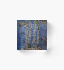 Chestnut blossom and Turtles Acrylic Block