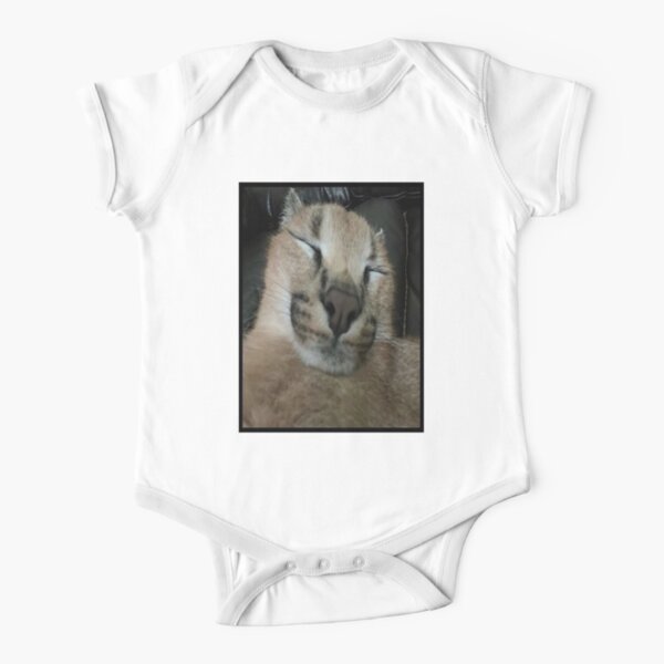 Baby Floppa Floppa GIF - Baby Floppa Floppa Caracal - Discover