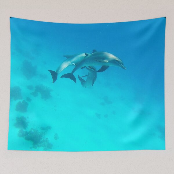 Item preview, Dolphins designed and sold by Kate-P-.