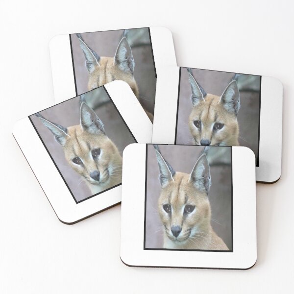 Item preview, Sad Big Floppa designed and sold by Han Zo.