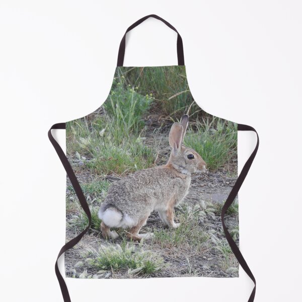 Item preview, Rabbits, Cottontail Rabbit, Wildlife designed and sold by Sandra O'Toole.