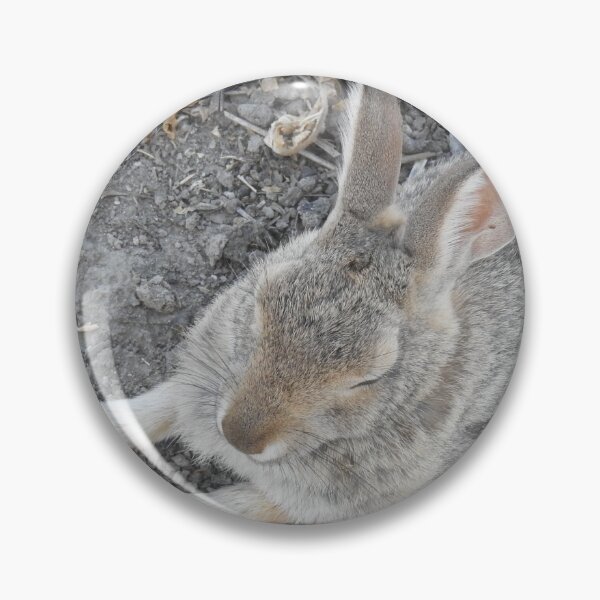 Item preview, Rabbit, Desert Cottontail, Wildlife designed and sold by Sandra O'Toole.