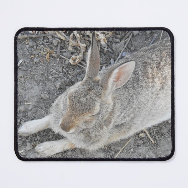 Item preview, Rabbit, Desert Cottontail, Wildlife designed and sold by Sandra O'Toole.