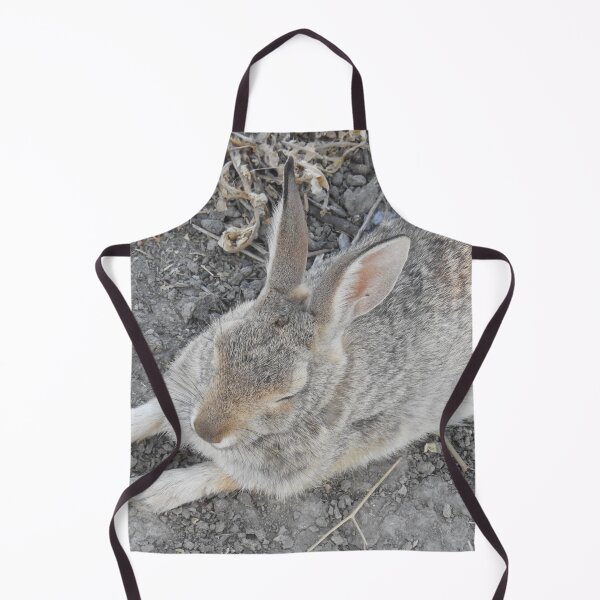 Item preview, Rabbit, Desert Cottontail, Wildlife designed and sold by Sandra O'Toole.