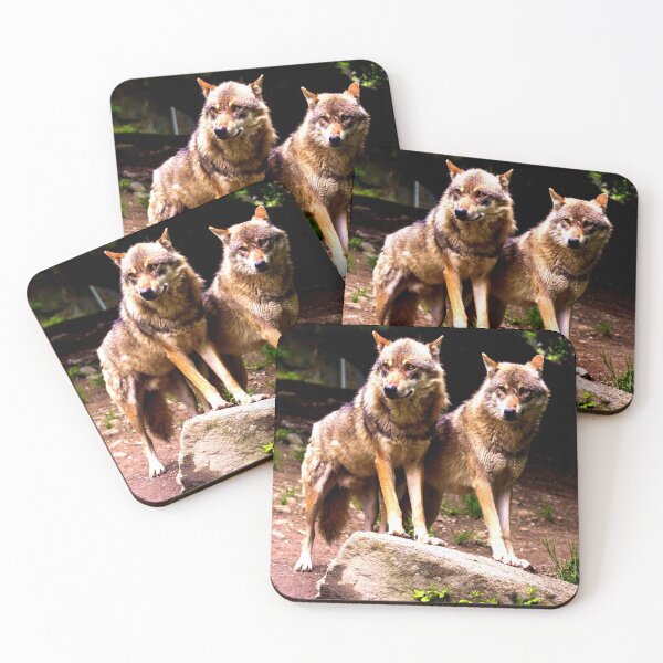 Item preview, Arctic wolf photo with high resolution quality designed and sold by Allyouneed-2.