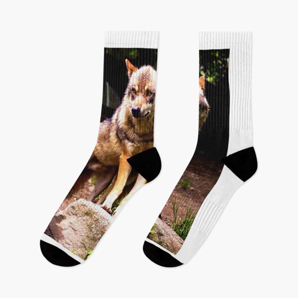Artikelvorschau, Arktisches Wolfsfoto in hochauflösender Qualität entworfen und verkauft von Allyouneed-2.