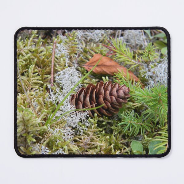 Item preview, Pineling Nest designed and sold by PeaceofNShore.