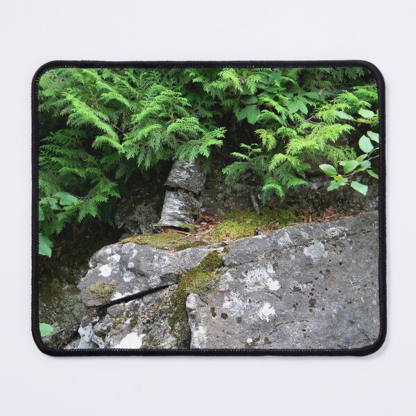 Item preview, Living Ledge designed and sold by PeaceofNShore.