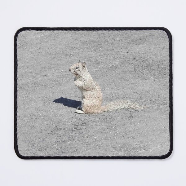 Item preview, Ground squirrel, Silverwood Lake, San Bernardino Mountains, California. designed and sold by Sandra O'Toole.