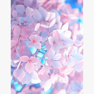 Cherry Blossom Tree Illustration White Background Template. Stock  Illustration - Illustration of japanese, background: 269811319