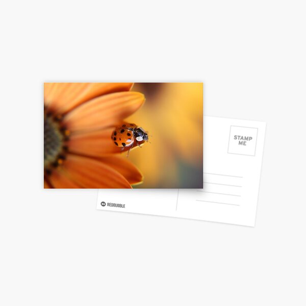 Item preview, Ladybug  designed and sold by Margriet Verkuijlen.