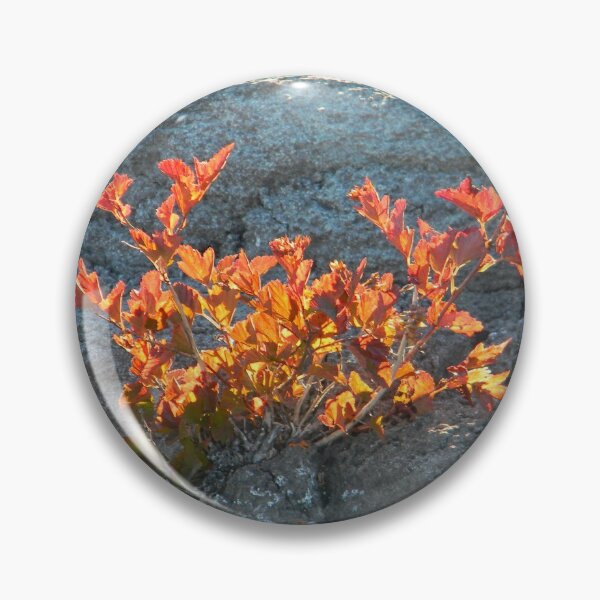 Item preview, Burning Bush Growing out of Rock designed and sold by PeaceofNShore.