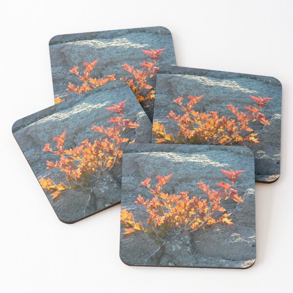 Item preview, Burning Bush Growing out of Rock designed and sold by PeaceofNShore.