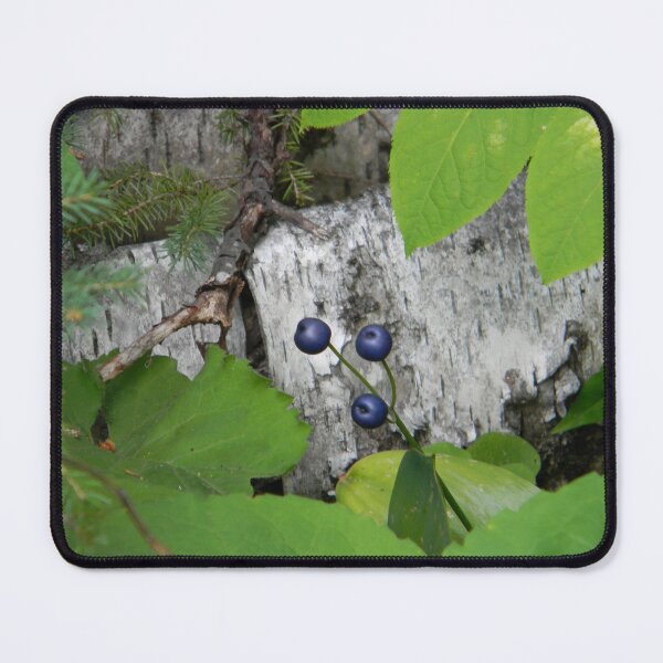 Item preview, Blue Berries against Birch Bark designed and sold by PeaceofNShore.