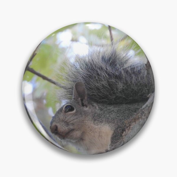 Item preview, Grey Squirrel, animals, wildlife, nature, gifts designed and sold by Sandra O'Toole.