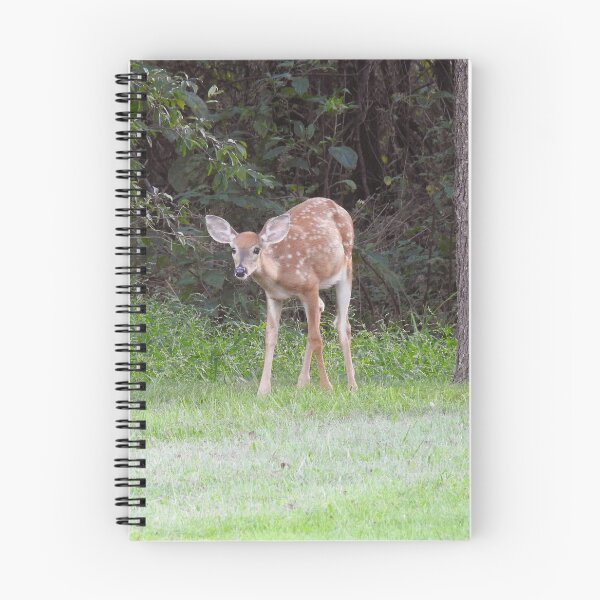 Item preview, Whitetail deer, fawn, nature, wildlife, gifts designed and sold by Sandra O'Toole.