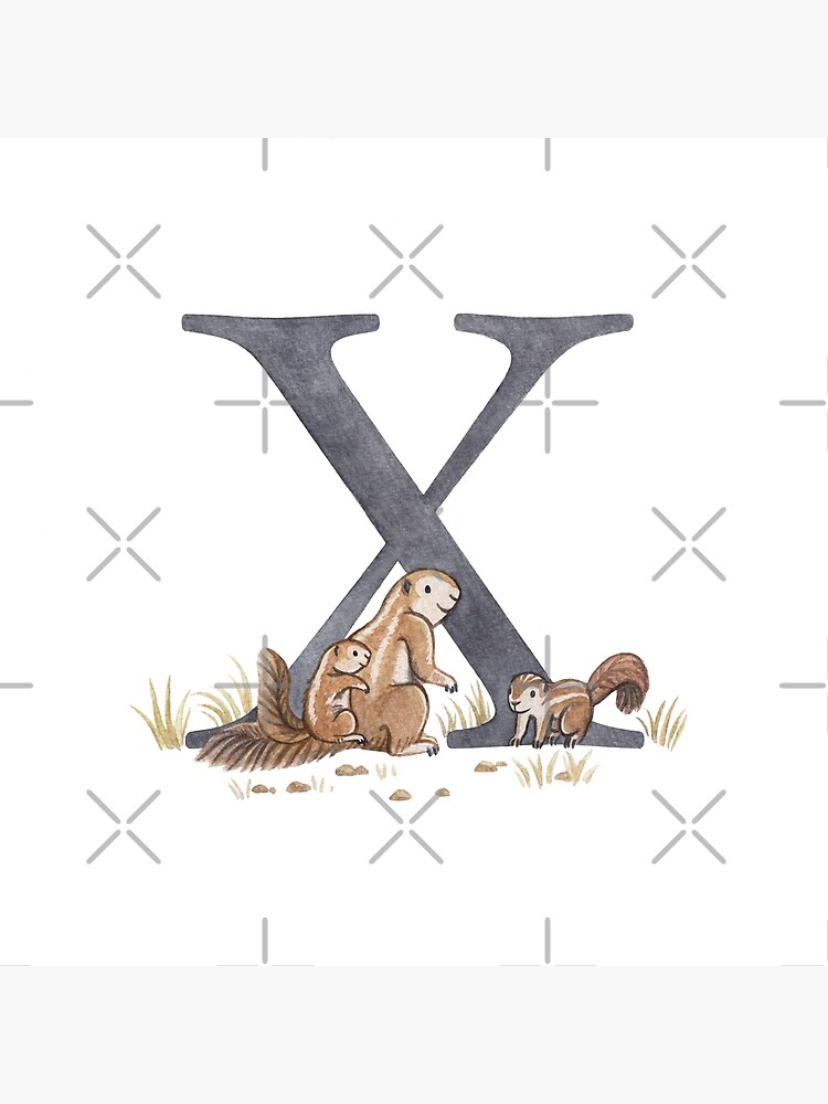 x-alphabet-letter-for-word-x-rus-in-french-english