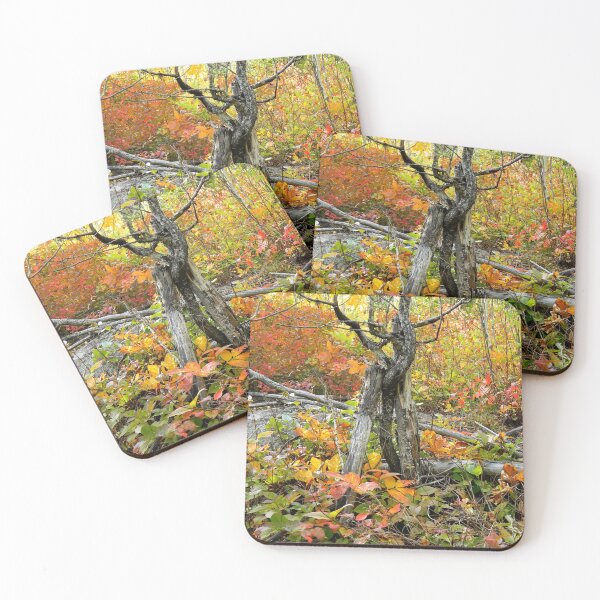 Item preview, Witch's Tree designed and sold by PeaceofNShore.